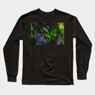 young jackfruit Long Sleeve T-Shirt